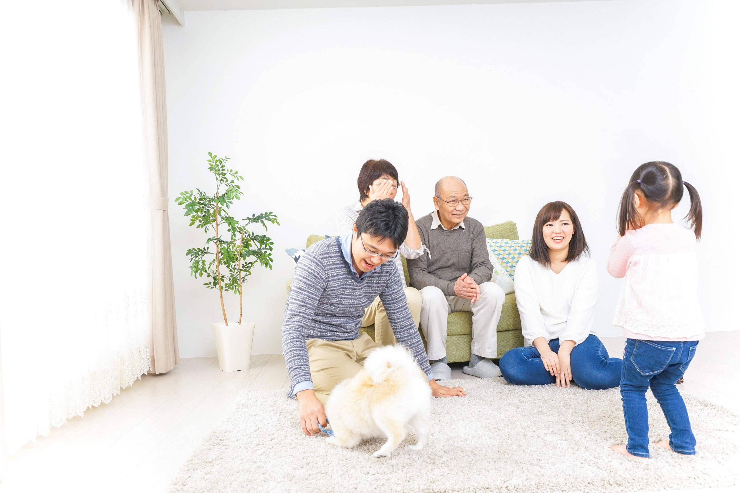 家族で犬と遊ぶ幸せな三世代ファミリー